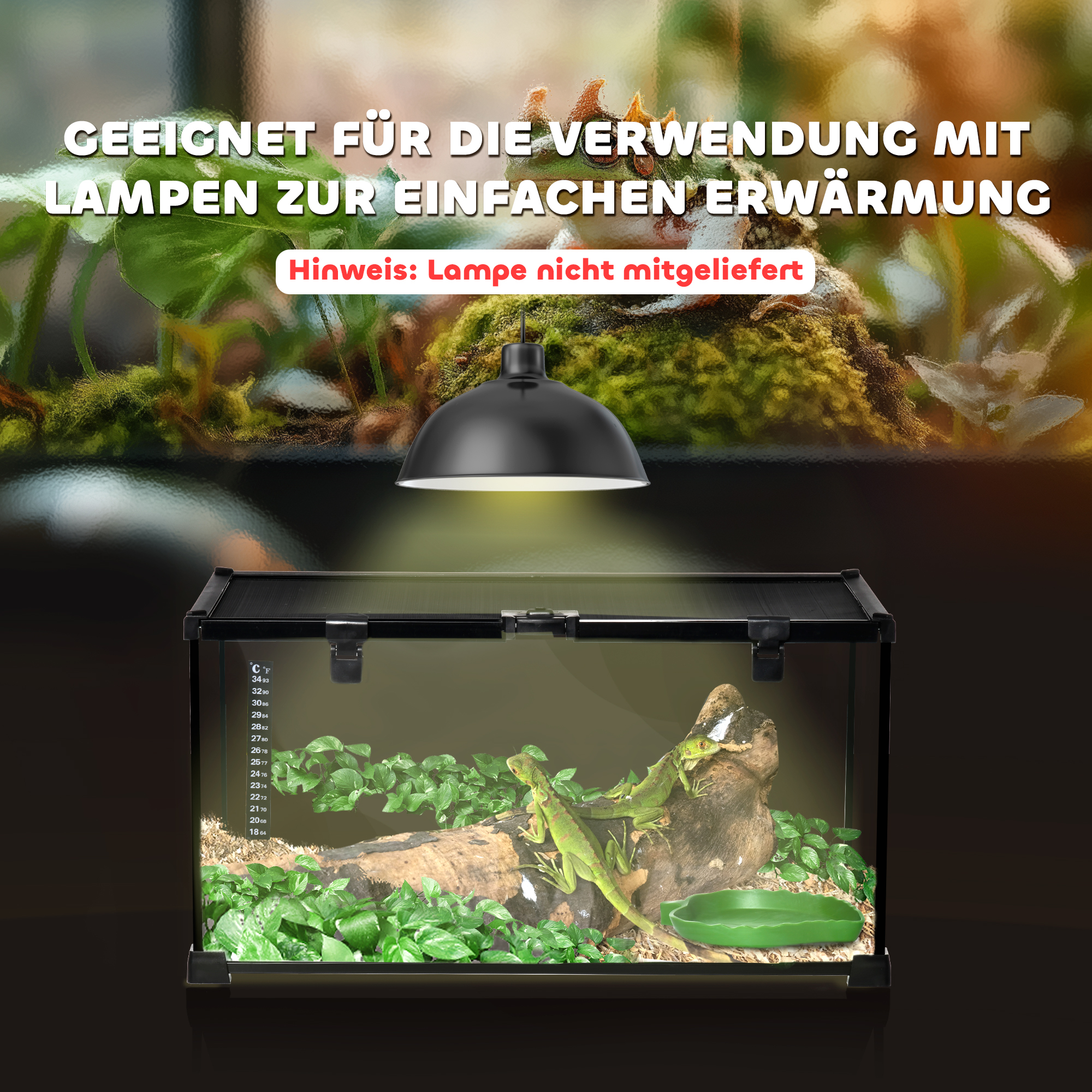 Reptilienbox Terrarium, inkl. Streifenthermometer, Fütterungsklappen, 50 cm x 30 cm x 25 cm, Glas + Metall, Schwarz