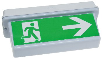 LED Fluchtwegleuchte "NL-D2" 30 LEDs, Erkennungsw. 25m, Deckenmontage, IP65