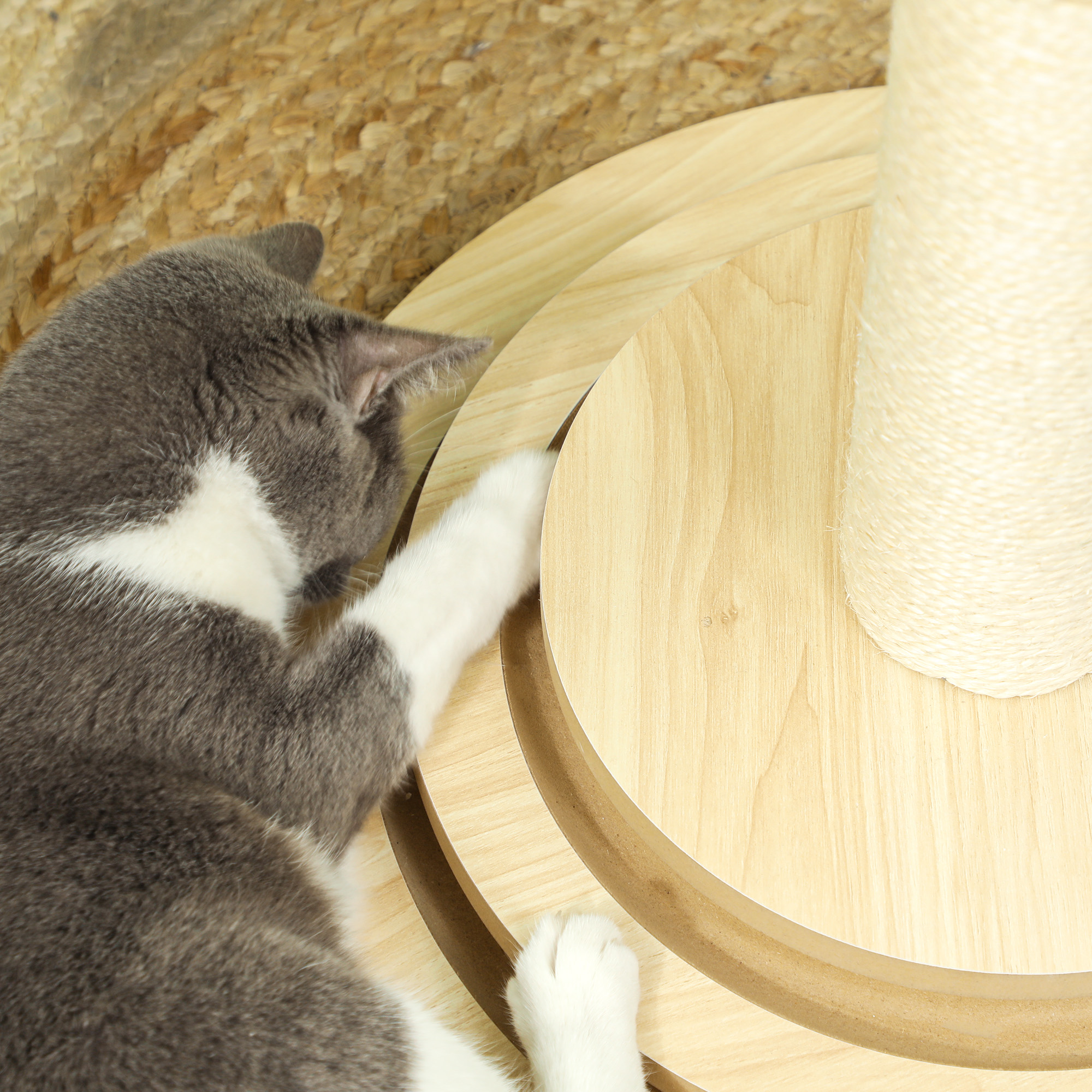 Katzenkratzbaum, 69 cm, Sisal-Kratzpfosten, Kugelbahn, Spielball, Spielfeder, 4-in-1-Design, Cremeweiß