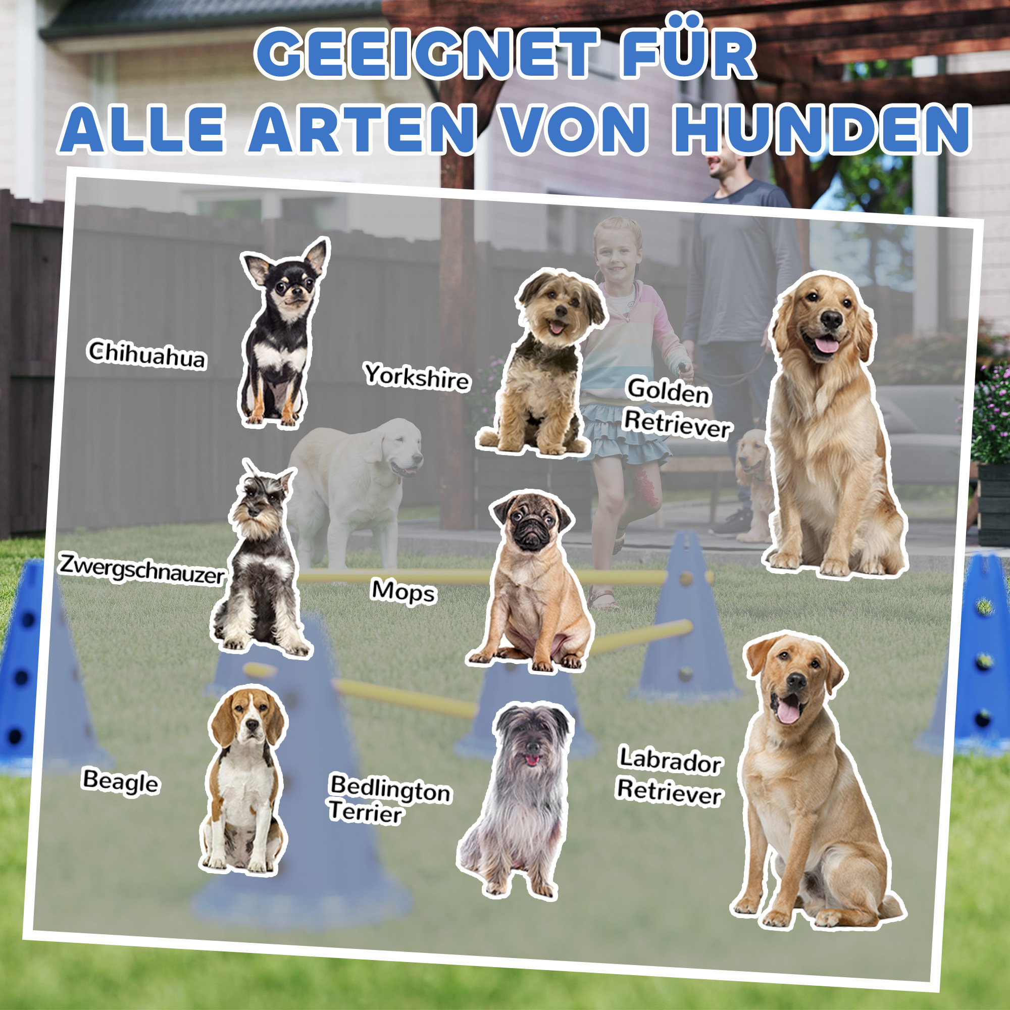 Agility Set Hunde 3-teiliges Agility-Ausrüstung für Hundetraining Steckhürdenset mit 6 Kegel 3 Hürden Tragetasche