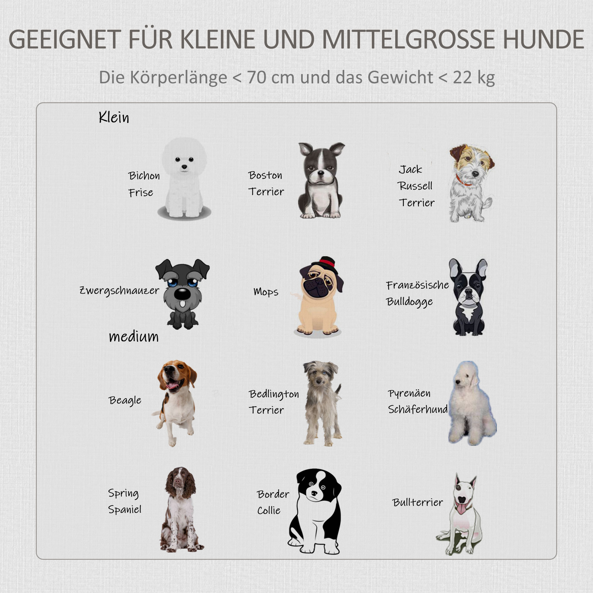 Transportbox für mittelgroße und kleine Hunde, verriegelbar Holzwerkstoff Stahl Grau + Weiß