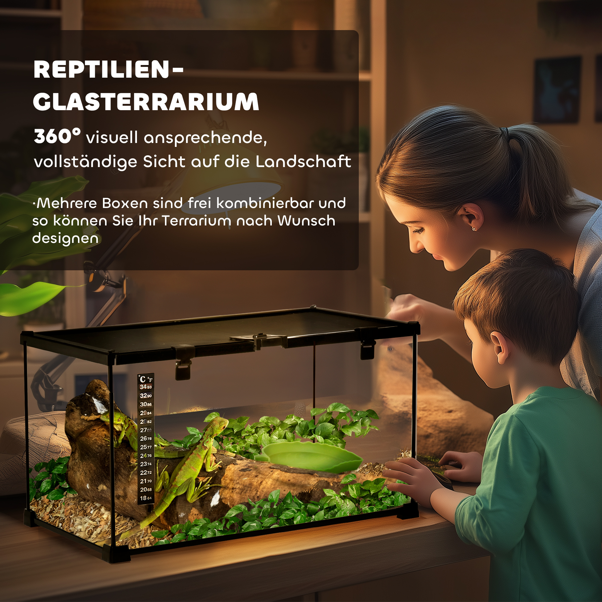 Reptilienbox Terrarium, inkl. Streifenthermometer, Fütterungsklappen, 50 cm x 30 cm x 25 cm, Glas + Metall, Schwarz
