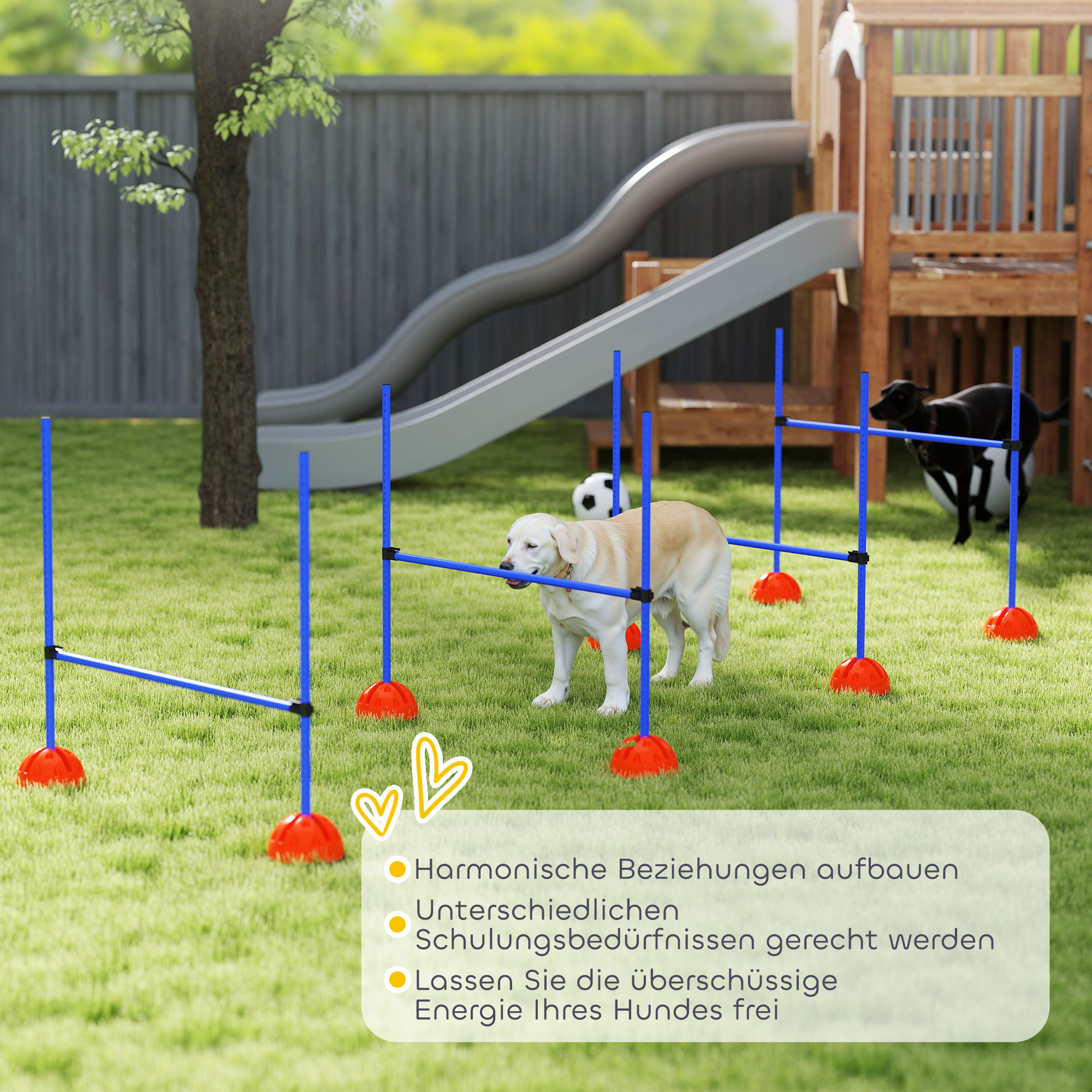 4-teiliges Hunde-Agility-Set mit 4 Hürden und Tragetasche für das Sprungtraining, Blau