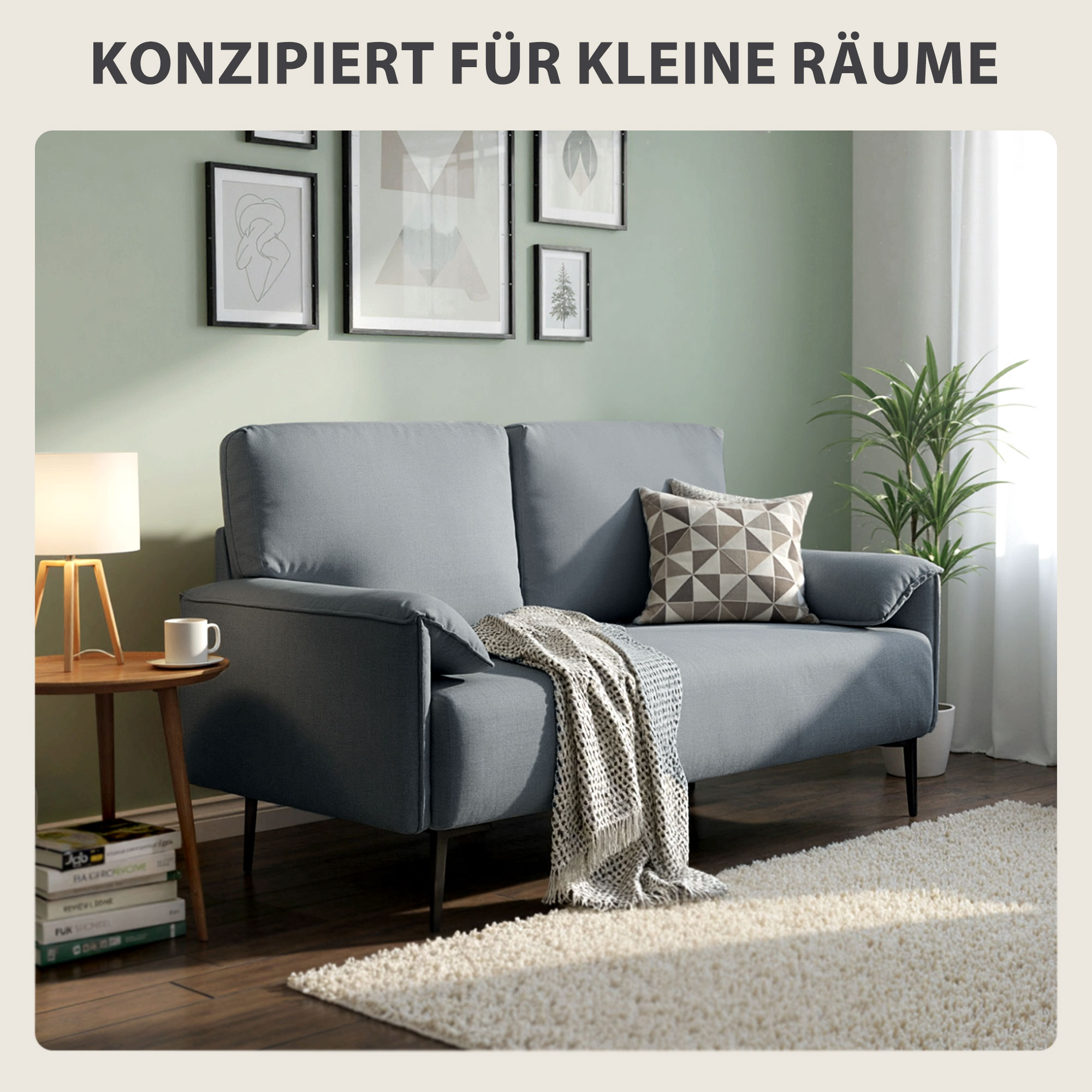 2-Sitzer-Sofa, dicke Kissen, samtiger Bezug, Polstersofa, Schwarz