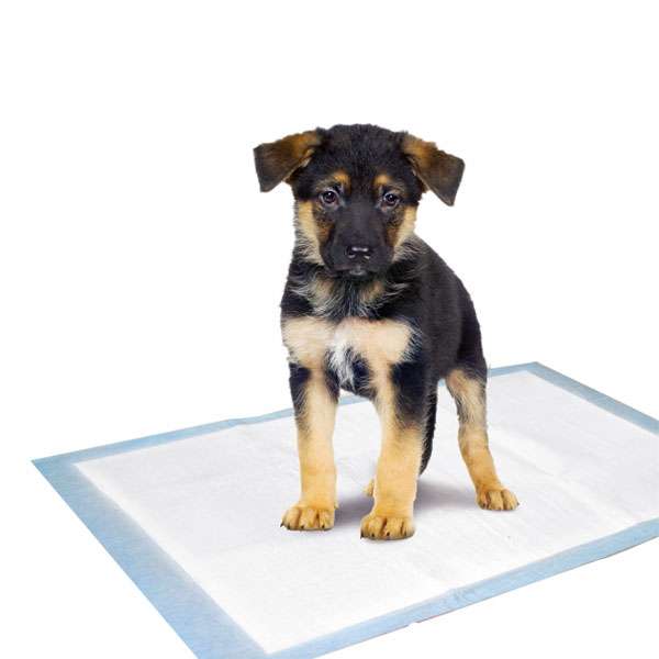 Karlie Flamingo Puppy Pads Trainingsmatten - 35 x 45 cm / 10 Stk Karlie Flamingo Puppy Pads Trainingsmatten - 90 x 60 cm / 5 Stk