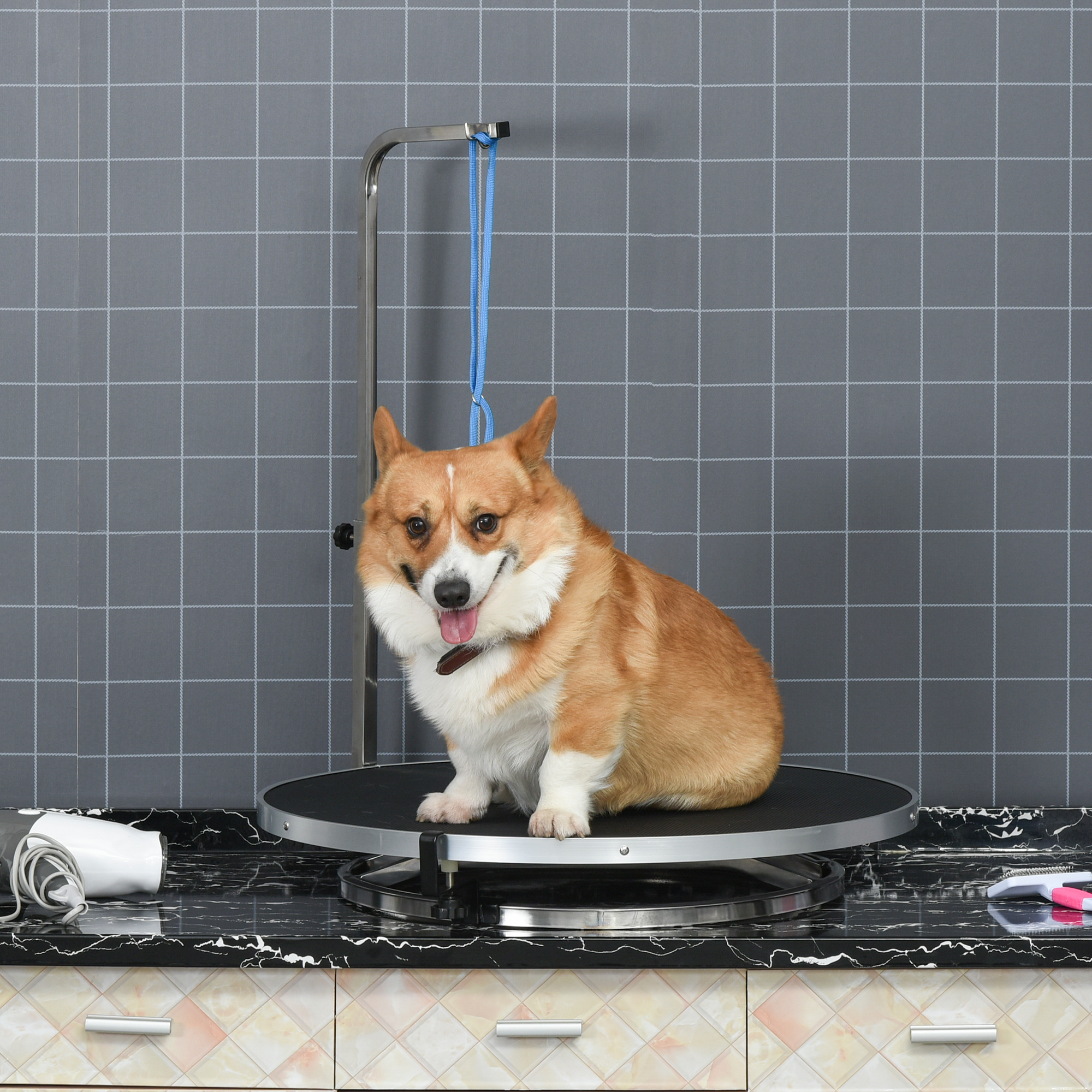 Hund Trimmtisch Tierpflegetisch drehbar trocknen Tabelle mit verstellbaren Arm rutschfeste Tischplatte Verriegelungssystem Aluminium-Legierung Rand Edelstahl Rahmen Sicherheit Leine Ø65x H10