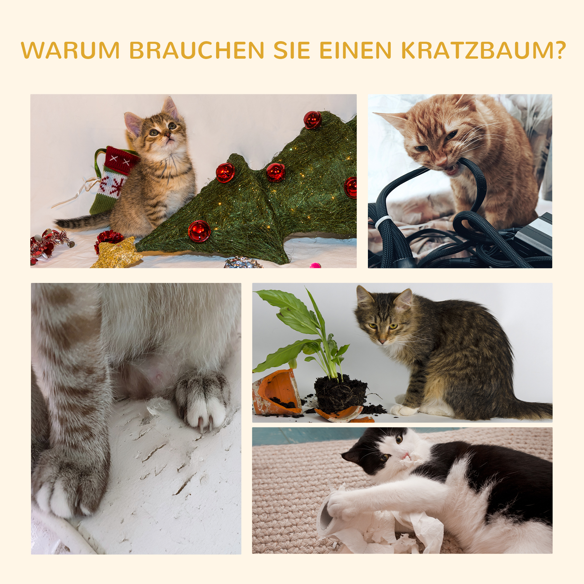 Katzenkratzbaum 240-260 cm Deckenhoch Kratzbaum groß Kletterbaum Katze Kratzbaum für große Katzen mit Sisalseil Hellgrau