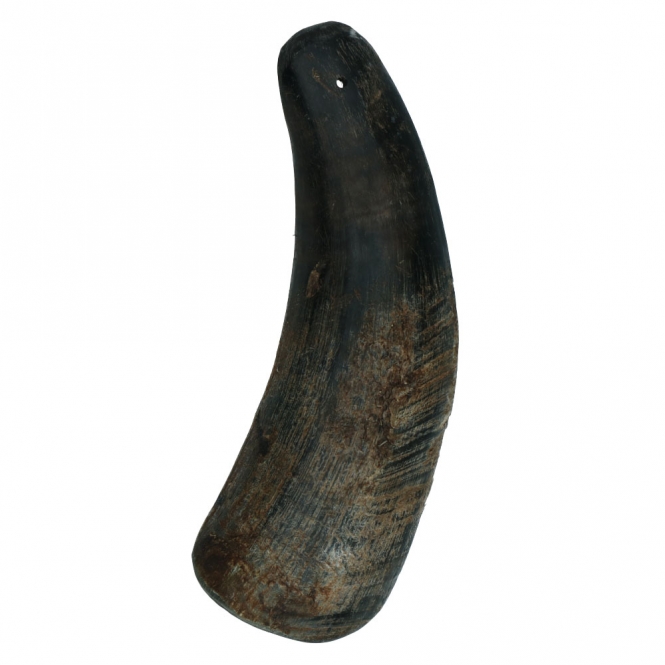 Viking half Horn - L Viking half Horn - S