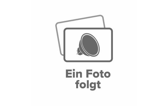 Kindermotorrad 1600 - 2x800W Brushless Motoren - schwarz Fendt RC Plüschtraktor 2,4GHz mit Sound